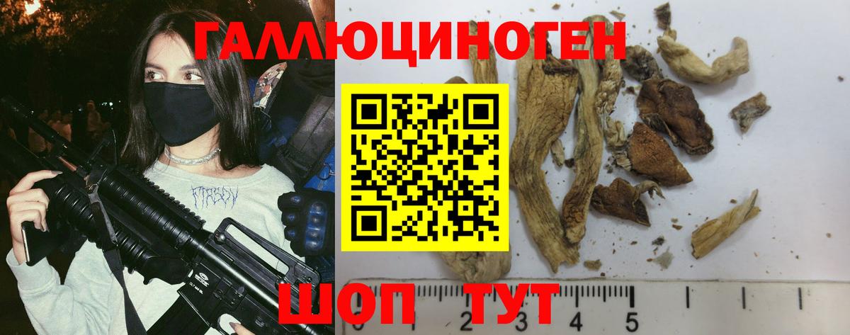 Михайловка  Галлюциногенные грибы прущие грибы  Вход с VPN  Галлюциногенные грибы GOLDEN TEACHER 